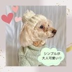 作品【犬用ニット帽】単色が大人可愛いニット帽子(ピュアホワイト)