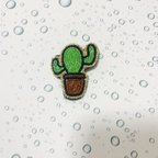 作品サボテン🌵