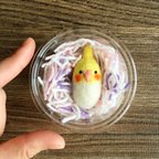 作品まゆ玉みたいな鳥ブローチ＊オカメインコ ルチノーさん