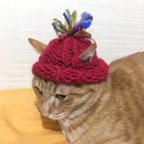 作品飼い主とお揃い☆愛猫用ミックスポンポン帽子