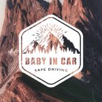 作品送料無料【BABY IN CAR】カーステッカー