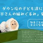 作品ダウン症の子ども達に編みぐるみを贈ろうプロジェクト