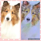 作品ペットの似顔絵描きます  画像は仕上がり見本です★犬専用★