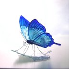 作品ガラスの蝶 ユリシス on リーフ