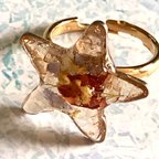 作品お星様　RING