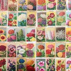 作品フランス 花のクロモスカード 50枚 海外 紙もの ジャンクジャーナル 素材 雑貨 06012-20