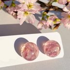 作品本物の桜 「さくら咲く 耳飾り」 自家製ドライフラワー使用　ピンク×透明 ×葉脈が美しい　金具変更無料(イヤリング、チタンピアス) アレルギー対応 レジン ハンドメイドアクセサリー 