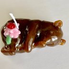 作品こぐまのキャンドル（花とてんとう虫）