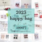 作品《12/4販売開始》【happy bag 2023】１つ選べるアクセサリーセット