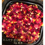 作品小さなミニ薔薇の花びら3gセット（小さめのみ）★花弁ドライフラワー★ミニローズ★お得用セット