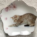 作品猫と桜の小皿・その2