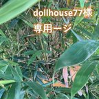 作品dollhouse77様専用　天然細竹材30本（素材）