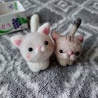 作品見つめる子猫ちゃん【白ねこ】【とら猫】