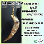 作品[＊幻螺絢舞＊] 幻海のピアス Type.B【あわび 片耳 販売】