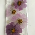 作品押し花スマホケース コスモス 秋桜