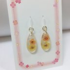 作品押し花のピアス/イヤリング