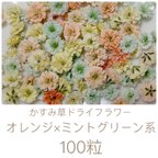 作品オレンジ×ミントグリーン系 かすみ草ドライフラワー100粒