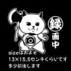 作品金太郎　猫　ドラレコ　ステッカー