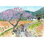 作品紅梅の咲く農村　原画一点物