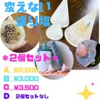 作品＊2個セット＊変えない盛り塩♡Bサイズ