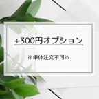 作品【条件あり】＋300円オプション