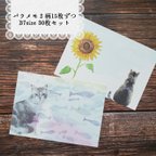 作品バラメモ　季節の猫【夏】