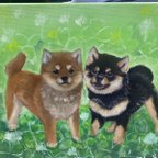 作品専用 オーダー品 油彩画 柴犬 F4サイズ 