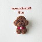 作品✩raymondlolck様専用✩