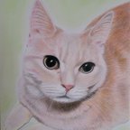 作品オーダーメイド　色鉛筆画　猫の絵　犬の絵　似顔絵　ねこ　いぬ　肖像画　ペットロス