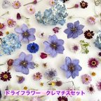 作品ドライフラワーアラカルトセット　花材　クレマチスとヤグルマソウ