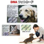 作品ペット DNA保存 メモリアル フォトカード【DNA stock assist】ホログラム フルカラープリント 記念品 誕生日記念 表彰 ギフト プレゼント メモリアル 思い出