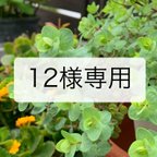 作品【12様専用です】●藍染白絣の帽子●パッチワーク&刺し子