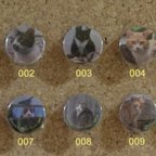 作品Sasazukan Cats缶バッジ 25mm（2個セット）