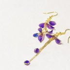 作品藤の花　揺れるピアス