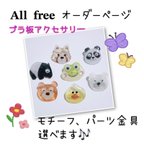 作品ALLfree プラ板アクセサリー オーダーページ