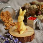 作品bunny candle yellow