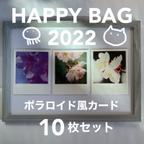 作品【予約受付中・送料無料】HAPPY BAG 2022 ポラロイド風カード10枚セット【ねこくらげ】