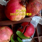 作品お知らせ(2023/11/18更新)