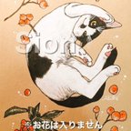 作品猫ちゃん似顔絵イラスト☆短毛猫さん・オーダーページ