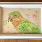 作品[売約済み]チャノドインコのチャロちゃんの肖像画（水彩画、ペットの似顔絵、オーダー品）