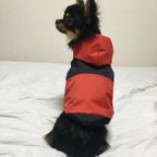 作品フード付きダウンジャケット Lサイズ レッド/ブラック(赤/黒) 犬服 冬服 