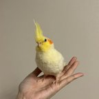 作品オカメインコ　オーダー品