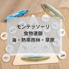 作品☆モンテッソーリ☆ 食物連鎖(草原・海・熱帯雨林) 木製パズル