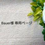 作品Bauer様専用ページ