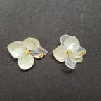 作品||一粒ピアス/イヤリング||　本物の紫陽花ピアスorイヤリング　イエロー×ホワイト