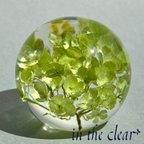 作品植物標本　ビバーナム　スノーボール　薄緑色　レジン　４センチ球体