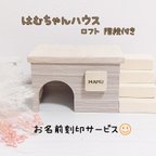 作品ハムスターハウス 🐹