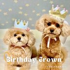 作品ミニ バースデークラウン wg×w cpw 、ベビークラウン、ひな祭り、誕生日、王冠、1歳、ピンク、花、かわいい、女の子、ニューボーンフォト、春、犬、猫、うさぎ