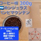 作品コーヒー粉orコーヒー豆300g　バンビマウンテン