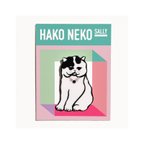 作品HAKO NEKOブローチ